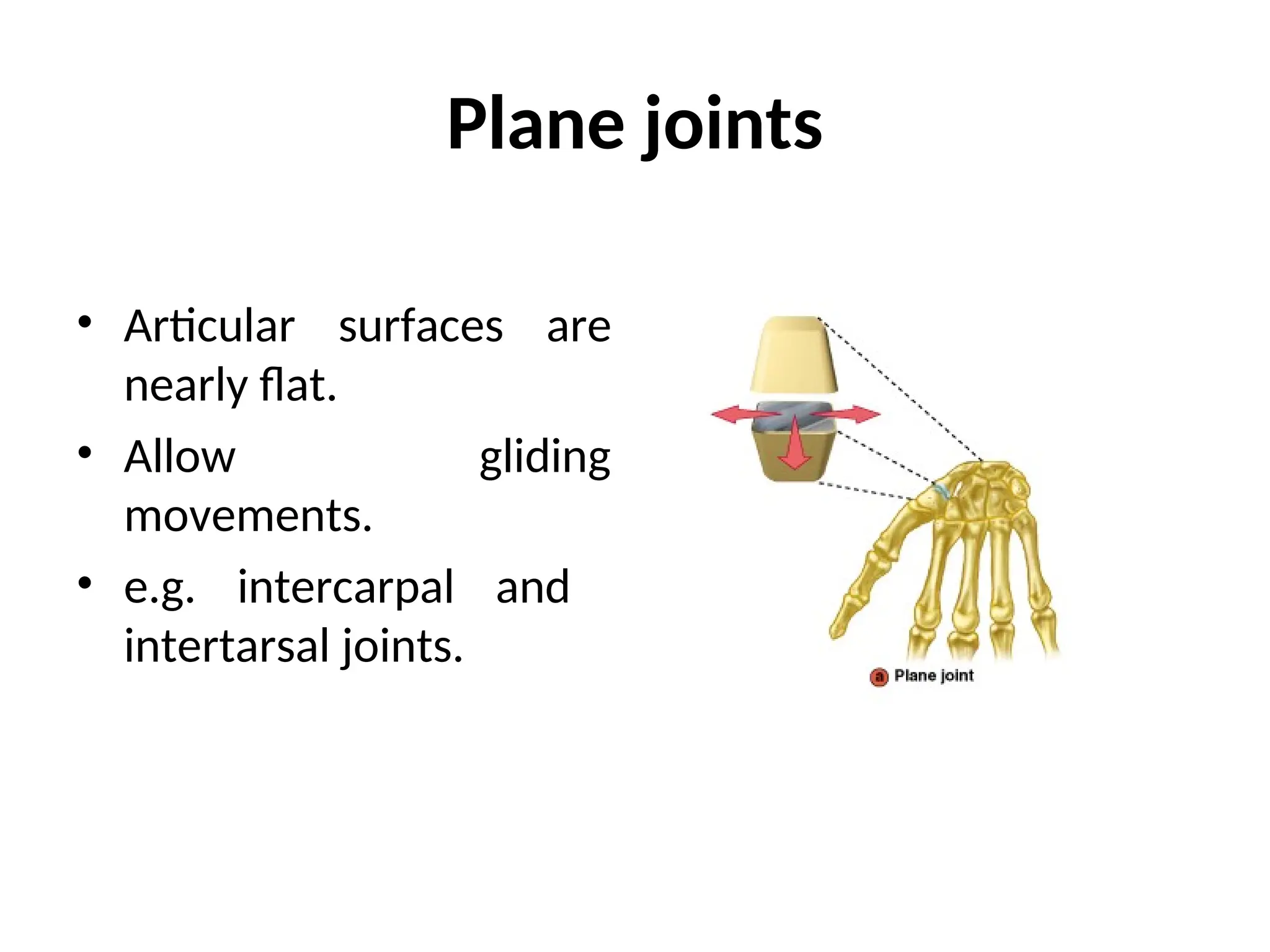 Plane joints
• Articular surfaces are
nearly flat.
• Allow gliding
movements.
• e.g. intercarpal and
intertarsal joints.
 