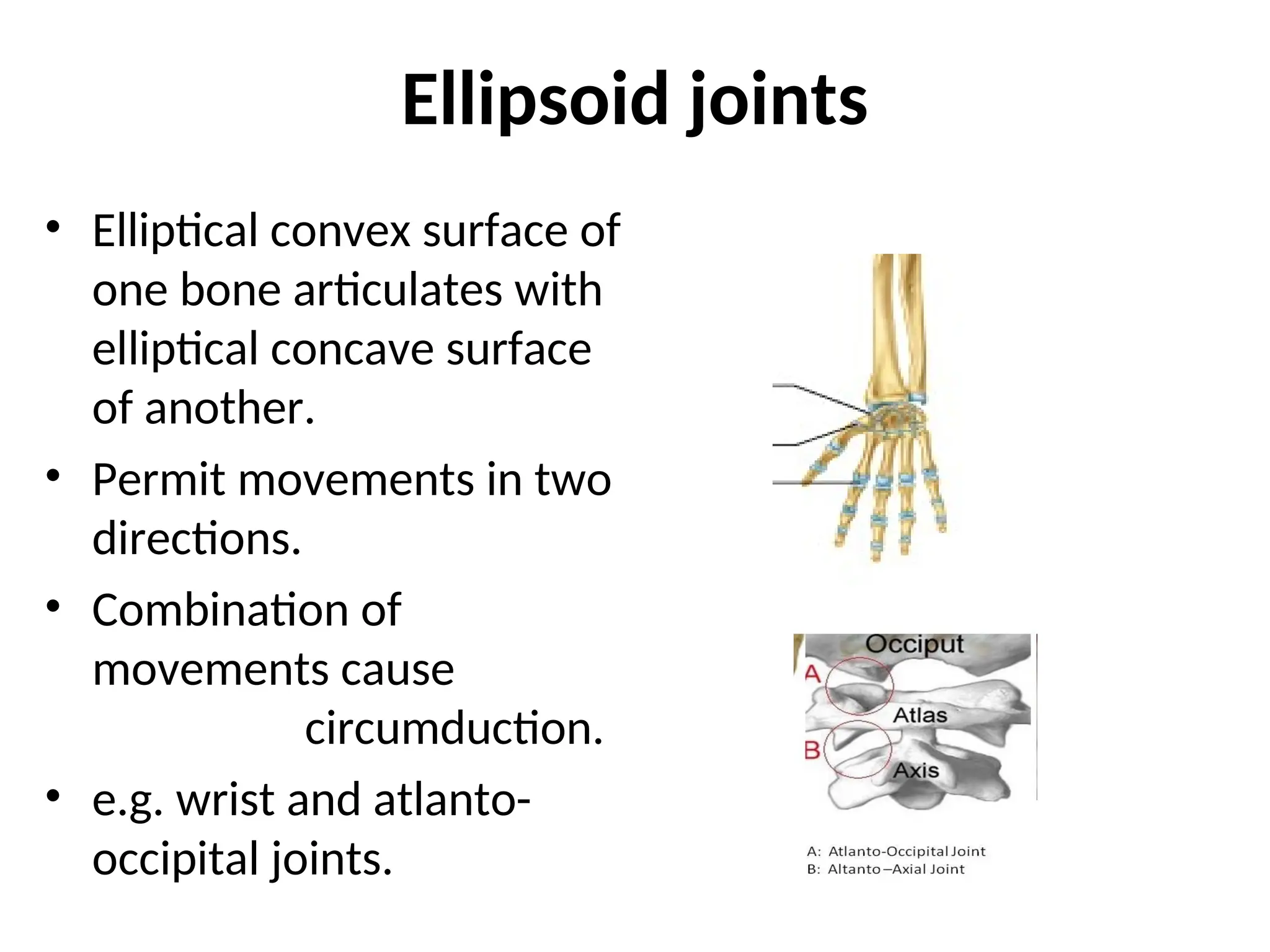 Ellipsoid joints
• Elliptical convex surface of
one bone articulates with
elliptical concave surface
of another.
• Permit movements in two
directions.
• Combination of
movements cause
circumduction.
• e.g. wrist and atlanto-
occipital joints.
 