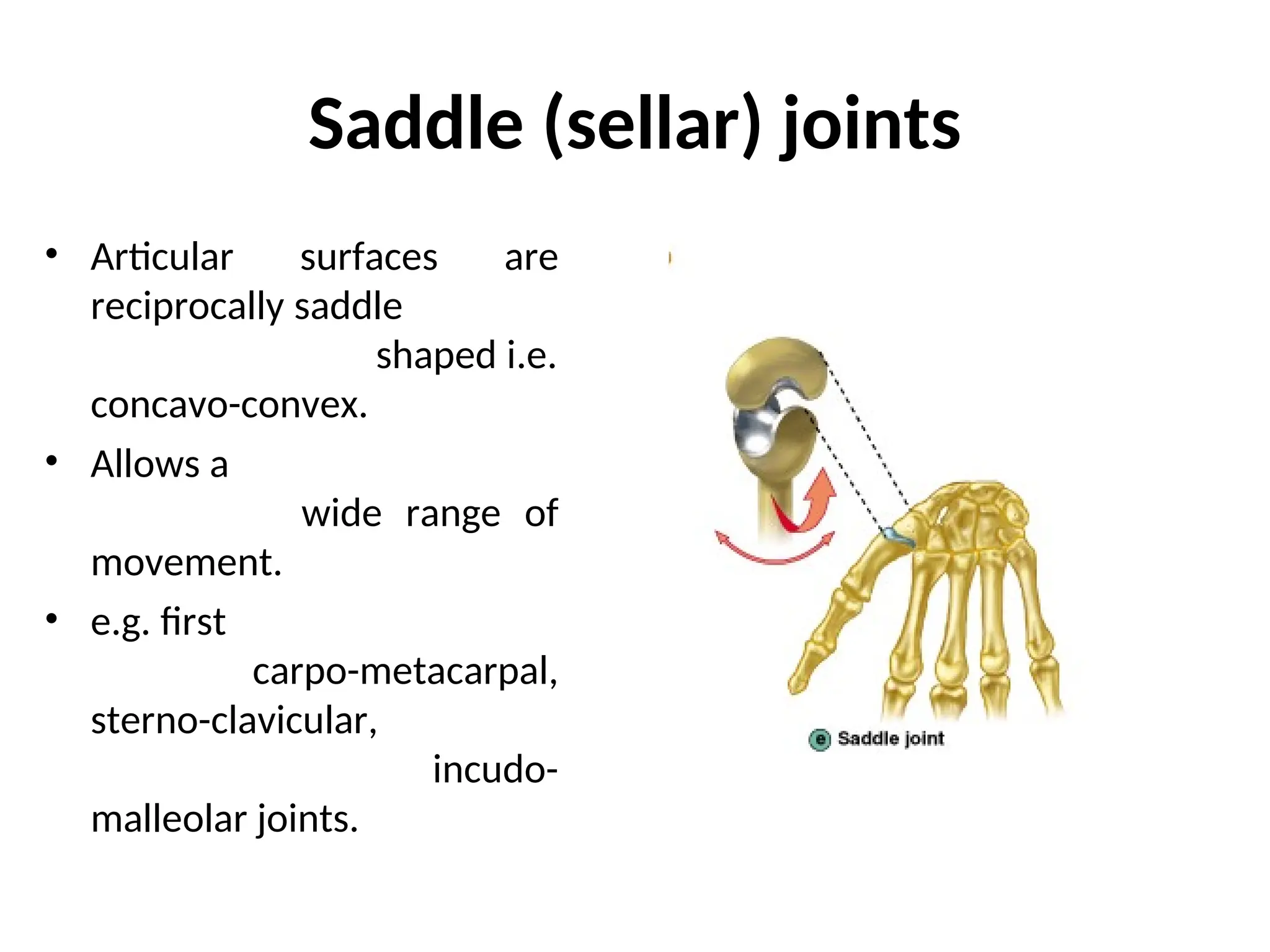 Saddle (sellar) joints
• Articular surfaces are
reciprocally saddle
shaped i.e.
concavo-convex.
• Allows a
wide range of
movement.
• e.g. first
carpo-metacarpal,
sterno-clavicular,
incudo-
malleolar joints.
 