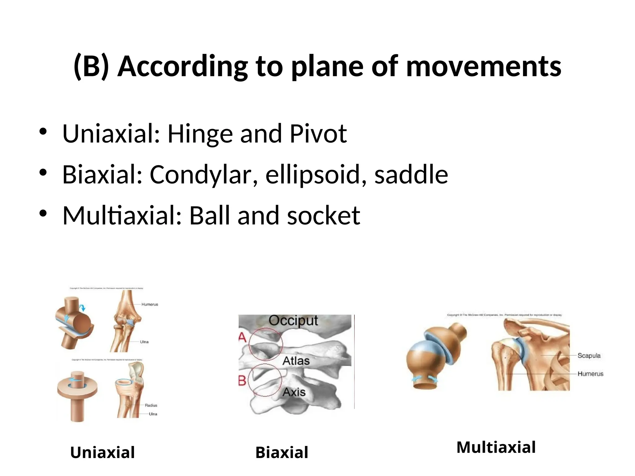 (B) According to plane of movements
• Uniaxial: Hinge and Pivot
• Biaxial: Condylar, ellipsoid, saddle
• Multiaxial: Ball and socket
Uniaxial Biaxial Multiaxial
 