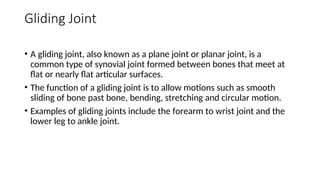 jOINTS of the human body and its properties.ppt