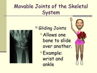 JOINTS.ppt anatomy ..................... | PPT