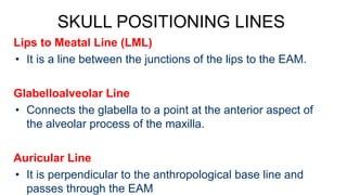 Meatal Line JOINTS AND SURFACE LANDMARKS IN RADTECH.pdf