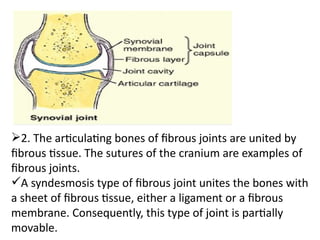 Comprehensive Overview of Joint Anatomy, Classification, and Function ...