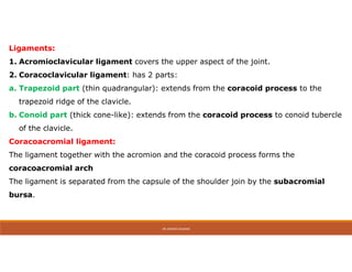 Conoid Ridge jjjjjjjjjjjjJoints-of-the-upper-limb.pdf
