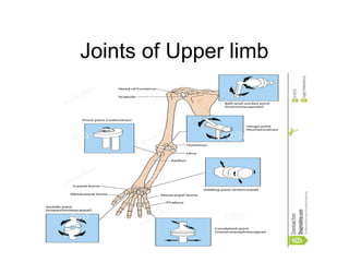 Joints of Upper limb
 