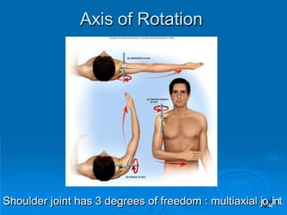 Axis of Rotation
Shoulder joint has 3 degrees of freedom : multiaxial jo44int
 