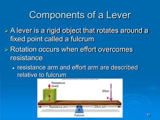 Components of a Lever
51
 A lever is a rigid object that rotates around a
fixed point called a fulcrum
 Rotation occurs when effort overcomes
resistance
 resistance arm and effort arm are described
relative to fulcrum
 