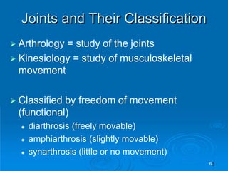  Arthrology = study of the joints
 Kinesiology = study of musculoskeletal
movement
 Classified by freedom of movement
(functional)
 diarthrosis (freely movable)
 amphiarthrosis (slightly movable)
 synarthrosis (little or no movement)
Joints and Their Classification
6
 