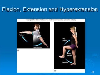 Flexion, Extension and Hyperextension
61
 