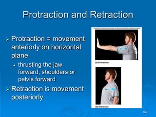 Protraction and Retraction
64
 Protraction = movement
anteriorly on horizontal
plane
 thrusting the jaw
forward, shoulders or
pelvis forward
 Retraction is movement
posteriorly
 