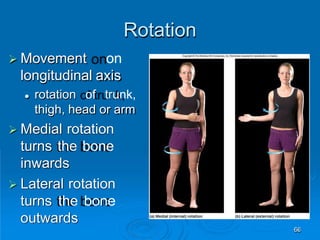 Rotation
66
 Movement on
longitudinal axis
 rotation of trunk,
thigh, head or arm
 Medial rotation
turns the bone
inwards
 Lateral rotation
turns the bone
outwards
 