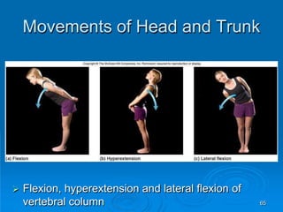 65
Movements of Head and Trunk
 Flexion, hyperextension and lateral flexion of
vertebral column
 