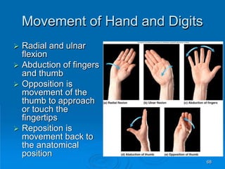 68
Movement of Hand and Digits
 Radial and ulnar
flexion
 Abduction of fingers
and thumb
 Opposition is
movement of the
thumb to approach
or touch the
fingertips
 Reposition is
movement back to
the anatomical
position
 