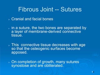 Cranial and facial bones
 In a suture, the two bones are separated by
a layer of membrane-derived connective
tissue.
 This connective tissue decreases with age
so that the osteogenic surfaces become
apposed.
 On completion of growth, many sutures
synostose and are obliterated.
Fibrous Joint -- Sutures
9
 