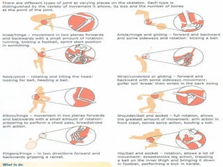 Joints Rapt Form Joints | PPT