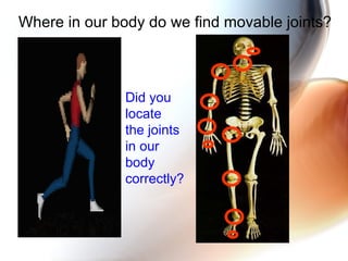 Where in our body do we find movable joints?
Did you
locate
the joints
in our
body
correctly?
 