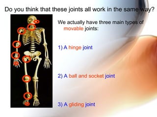 Do you think that these joints all work in the same way?
We actually have three main types of
movable joints:
1) A hinge joint
2) A ball and socket joint
3) A gliding joint
 