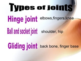 elbows,fingers,knee
shoulder, hip
back bone, finger base
 