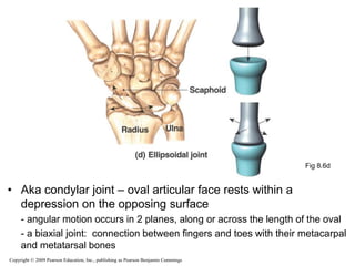 Os Multangular Joint Joints (1).ppt