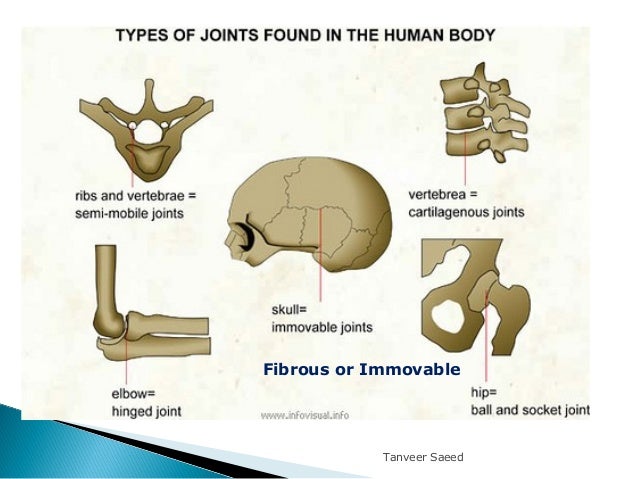 Joints (2)
