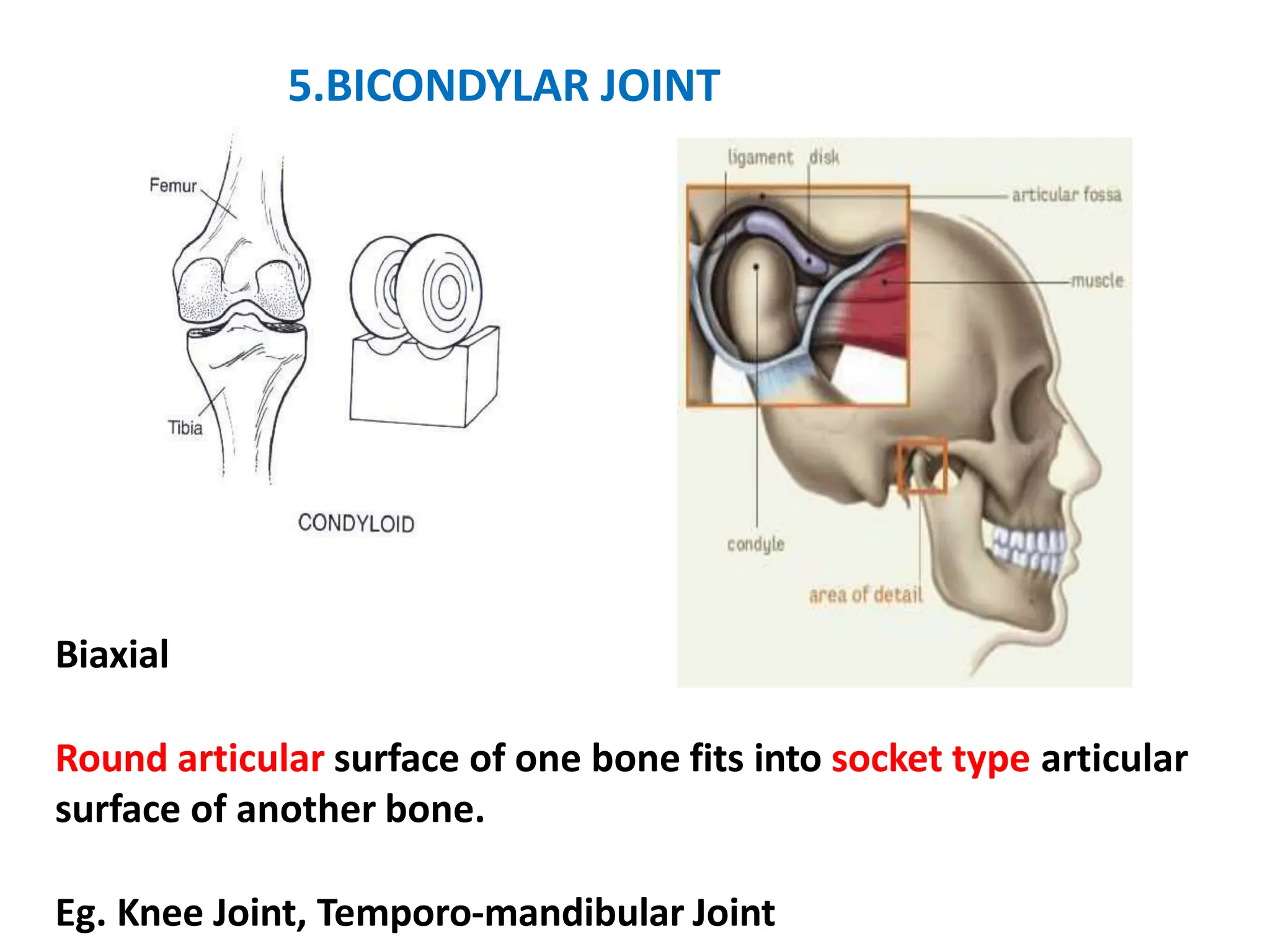 JOINTS ANATOMY .anatomy of joint pptx... | PPTX
