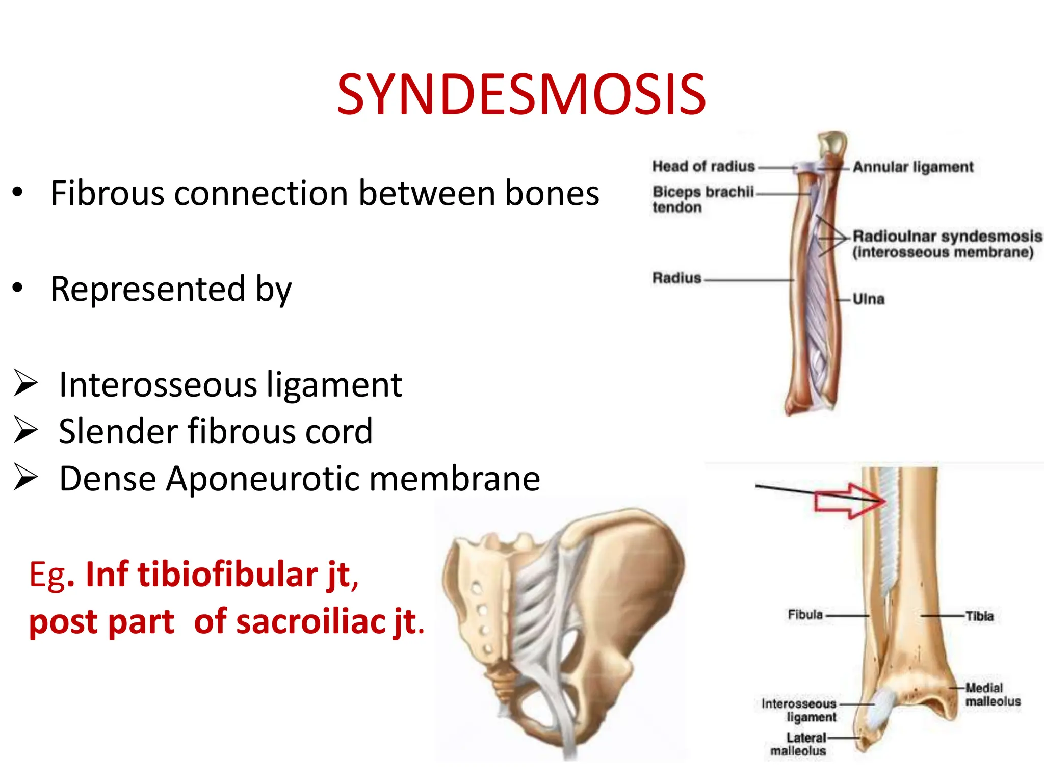 JOINTS ANATOMY .anatomy of joint pptx... | PPTX