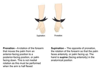 Pronation Internal Rotation joints and its classification different types of joints .pptx