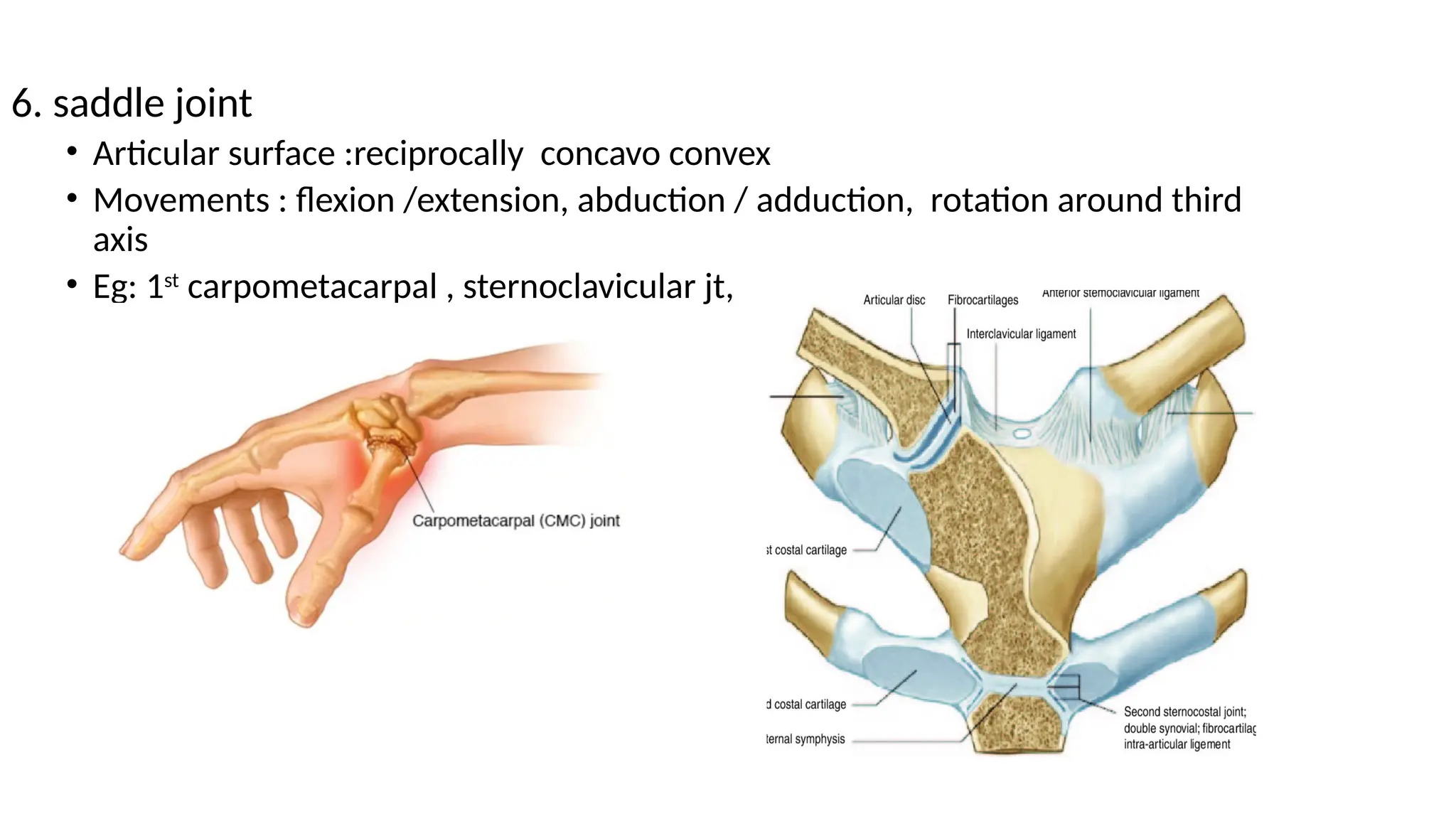 Joints and ligament with various types of joints | PPTX