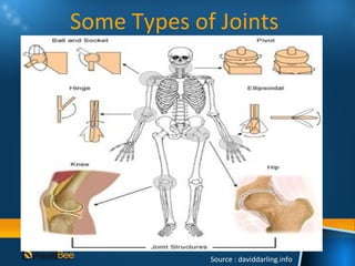 Some Types of Joints




             Source : daviddarling.info
 