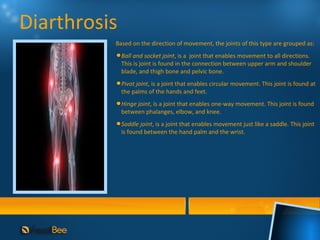 Diarthrosis
          Based on the direction of movement, the joints of this type are grouped as:
              Ball and socket joint, is a joint that enables movement to all directions.
              This is joint is found in the connection between upper arm and shoulder
              blade, and thigh bone and pelvic bone.
              Pivot joint, is a joint that enables circular movement. This joint is found at
              the palms of the hands and feet.
              Hinge joint, is a joint that enables one-way movement. This joint is found
              between phalanges, elbow, and knee.
              Saddle joint, is a joint that enables movement just like a saddle. This joint
              is found between the hand palm and the wrist.
 