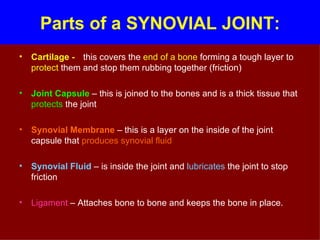 Parts of a SYNOVIAL JOINT: Cartilage - this covers the  end of a bone  forming a tough layer to  protect  them and stop them rubbing together (friction) Joint Capsule  – this is joined to the bones and is a thick tissue that  protects  the joint Synovial Membrane  – this is a layer on the inside of the joint capsule that  produces synovial fluid Synovial Fluid  – is inside the joint and  lubricates  the joint to stop friction Ligament  – Attaches bone to bone and keeps the bone in place. 