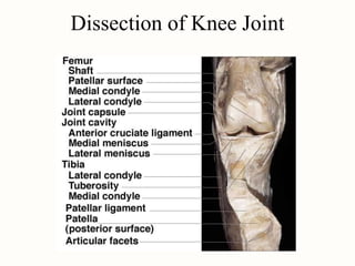 Joints and their movements | PPT