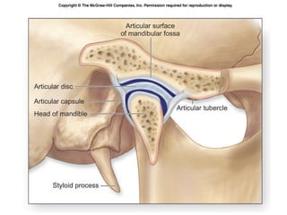 Joints articulations | PPT