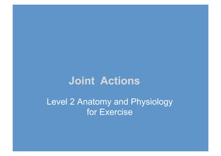 Joint Actions
Level 2 Anatomy and Physiology
for Exercise
 