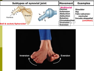 joints general anatomy of human body and | PPTX