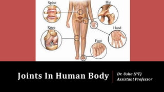 Joints In Human Body Dr. Usha (PT)
Assistant Professor
 