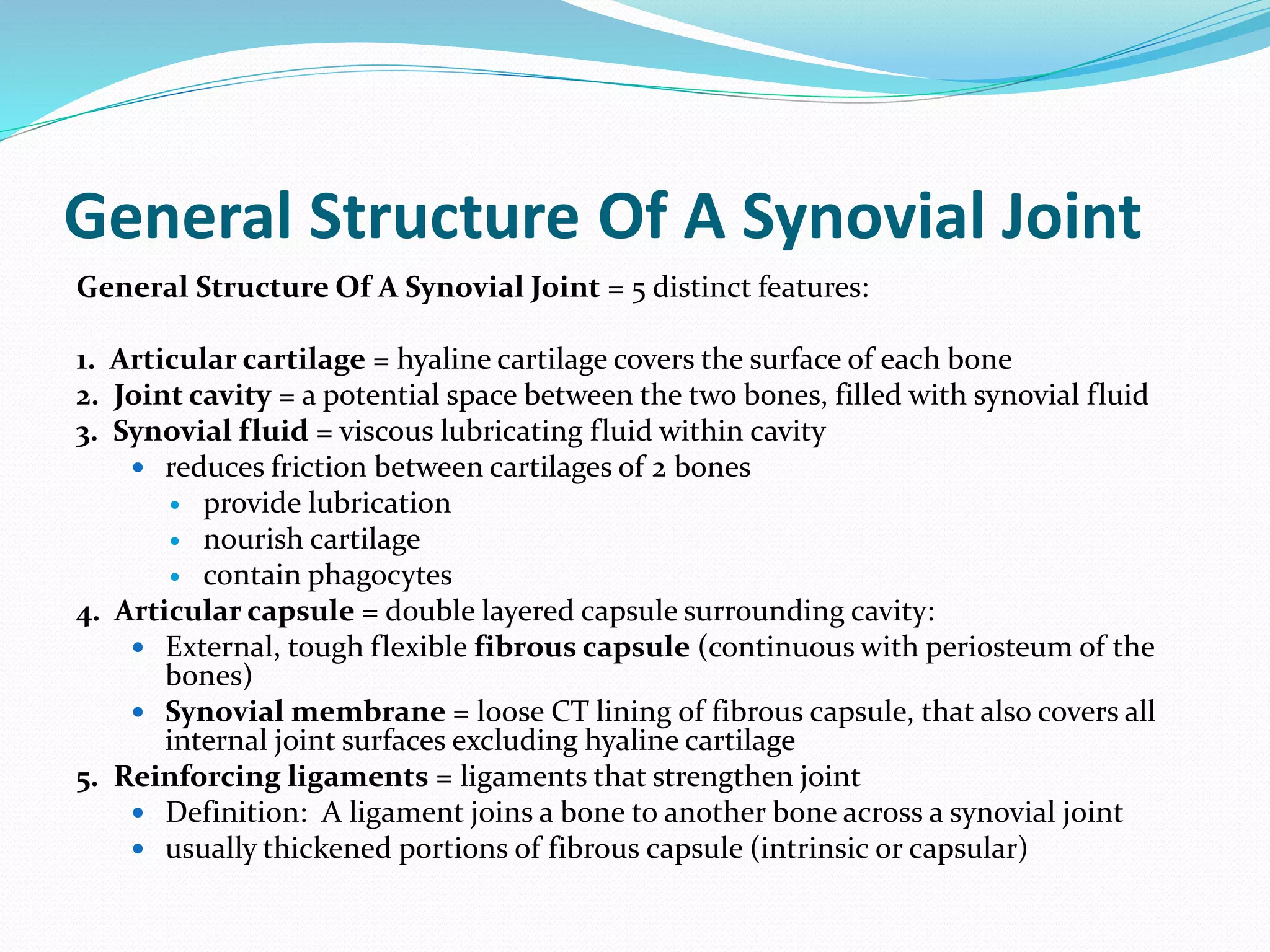 General Structure Of A Synovial Joint
General Structure Of A Synovial Joint = 5 distinct features:
1. Articular cartilage = hyaline cartilage covers the surface of each bone
2. Joint cavity = a potential space between the two bones, filled with synovial fluid
3. Synovial fluid = viscous lubricating fluid within cavity
 reduces friction between cartilages of 2 bones
 provide lubrication
 nourish cartilage
 contain phagocytes
4. Articular capsule = double layered capsule surrounding cavity:
 External, tough flexible fibrous capsule (continuous with periosteum of the
bones)
 Synovial membrane = loose CT lining of fibrous capsule, that also covers all
internal joint surfaces excluding hyaline cartilage
5. Reinforcing ligaments = ligaments that strengthen joint
 Definition: A ligament joins a bone to another bone across a synovial joint
 usually thickened portions of fibrous capsule (intrinsic or capsular)
 