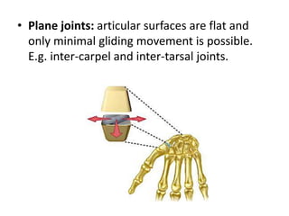 • Plane joints: articular surfaces are flat and
only minimal gliding movement is possible.
E.g. inter-carpel and inter-tarsal joints.
 
