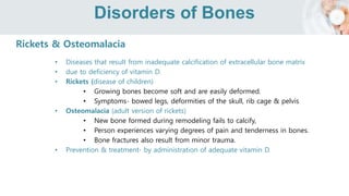 Disorders of Bones
Rickets & Osteomalacia
• Diseases that result from inadequate calcification of extracellular bone matrix
• due to deficiency of vitamin D.
• Rickets (disease of children)
• Growing bones become soft and are easily deformed.
• Symptoms- bowed legs, deformities of the skull, rib cage & pelvis
• Osteomalacia (adult version of rickets)
• New bone formed during remodeling fails to calcify,
• Person experiences varying degrees of pain and tenderness in bones.
• Bone fractures also result from minor trauma.
• Prevention & treatment- by administration of adequate vitamin D.
 