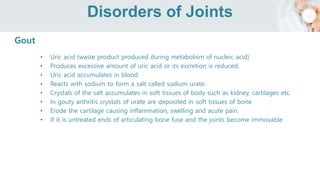 Disorders of Joints
Gout
• Uric acid (waste product produced during metabolism of nucleic acid)
• Produces excessive amount of uric acid or its excretion is reduced.
• Uric acid accumulates in blood
• Reacts with sodium to form a salt called sodium urate.
• Crystals of the salt accumulates in soft tissues of body such as kidney, cartilages etc.
• In gouty arthritis crystals of urate are deposited in soft tissues of bone
• Erode the cartilage causing inflammation, swelling and acute pain.
• If it is untreated ends of articulating bone fuse and the joints become immovable.
 