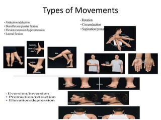 Joints, Movements & Muscles. | PPTX