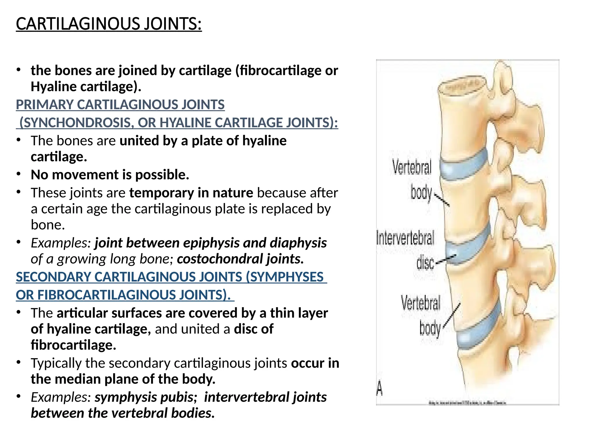 JOINTS And It s Types And Classification In Detail pptx joints-and-it-s-types-and-classification-in-detail-pptx