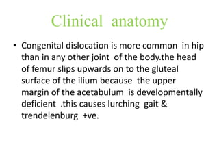 Clinical anatomy
• Congenital dislocation is more common in hip
than in any other joint of the body.the head
of femur slips upwards on to the gluteal
surface of the ilium because the upper
margin of the acetabulum is developmentally
deficient .this causes lurching gait &
trendelenburg +ve.
 