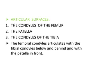  ARTICULAR SURFACES:
1. THE CONDYLES OF THE FEMUR
2. THE PATELLA
3. THE CONDYLES OF THE TIBIA
 The femoral condyles articulates with the
tibial condyles below and behind and with
the patella in front.
 