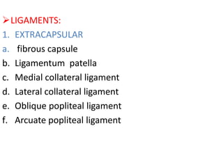 LIGAMENTS:
1. EXTRACAPSULAR
a. fibrous capsule
b. Ligamentum patella
c. Medial collateral ligament
d. Lateral collateral ligament
e. Oblique popliteal ligament
f. Arcuate popliteal ligament
 