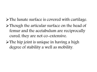 The lunate surface is covered with cartilage.
Though the articular surface on the head of
femur and the acetabulum are reciprocally
cured, they are not co-extensive.
The hip joint is unique in having a high
degree of stability a well as mobility.
 