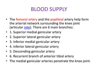 BLOOD SUPPLY
• The femoral artery and the popliteal artery help form
the arterial network surrounding the knee joint
(articular rete). There are 6 main branches:
• 1. Superior medial genicular artery
• 2. Superior lateral genicular artery
• 3. Inferior medial genicular artery
• 4. Inferior lateral genicular artery
• 5. Descending genicular artery
• 6. Recurrent branch of anterior tibial artery
• The medial genicular arteries penetrate the knee joint.
 