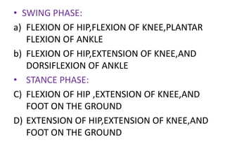 • SWING PHASE:
a) FLEXION OF HIP,FLEXION OF KNEE,PLANTAR
FLEXION OF ANKLE
b) FLEXION OF HIP,EXTENSION OF KNEE,AND
DORSIFLEXION OF ANKLE
• STANCE PHASE:
C) FLEXION OF HIP ,EXTENSION OF KNEE,AND
FOOT ON THE GROUND
D) EXTENSION OF HIP,EXTENSION OF KNEE,AND
FOOT ON THE GROUND
 