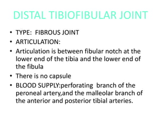 DISTAL TIBIOFIBULAR JOINT
• TYPE: FIBROUS JOINT
• ARTICULATION:
• Articulation is between fibular notch at the
lower end of the tibia and the lower end of
the fibula
• There is no capsule
• BLOOD SUPPLY:perforating branch of the
peroneal artery,and the malleolar branch of
the anterior and posterior tibial arteries.
 